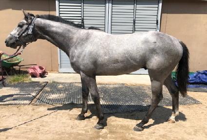 �Ӵ����̽� ����