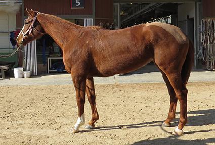 �ݾ����� ����