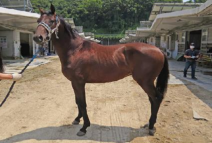 ���ֺ̹��� ����