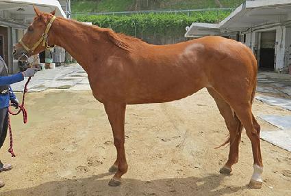 ������� ����