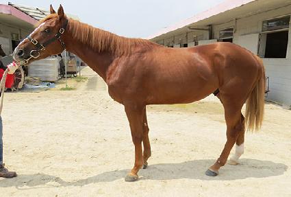 ������ǳ ����