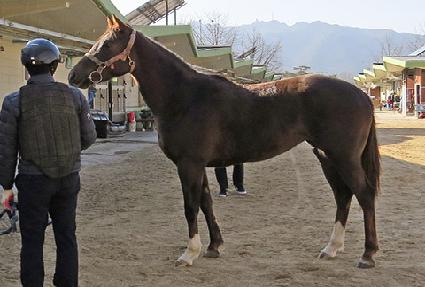 ��ī�캸�� ����