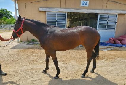 ���ǽ��� ����