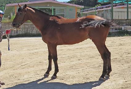 �������ڵ� ����