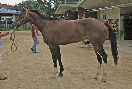 �ʿ����� ����