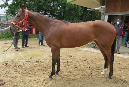 ��Ż ����