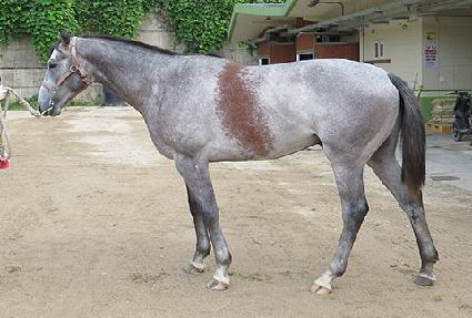 Ȳ�찭�� ����