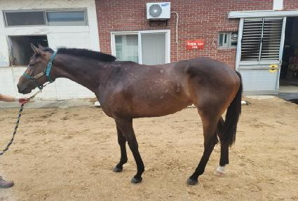 ���׿����� ����