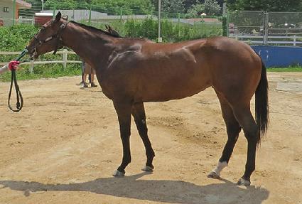 ������ ����