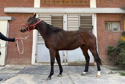 ��緹�̼� ����