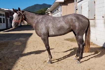 ��ǳ���� ����