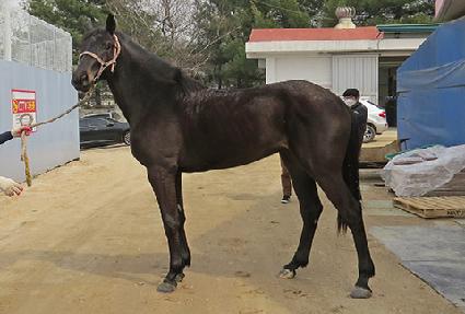 ���ε� ����