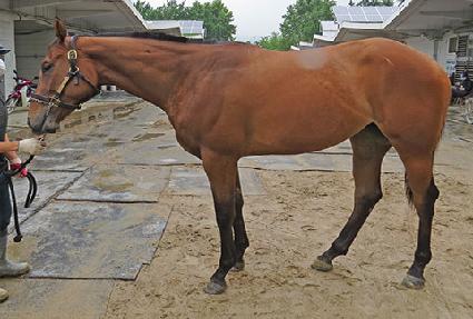 �������� ����