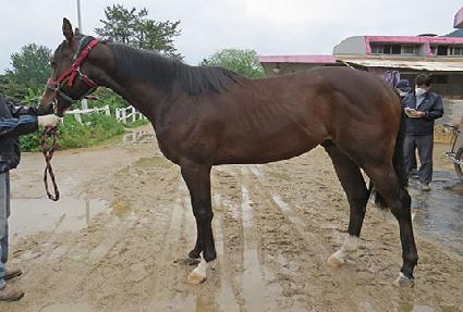 ������ ����