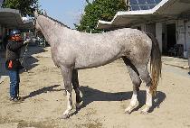 K N OLD QUEEN picture