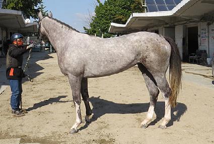 ���̿��õ��� ����