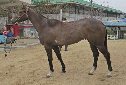 Ʈ���÷� ����