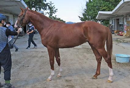 ���̿�Ƽ��� ����