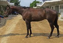 ĳ�ù� (CASH BACK) ����