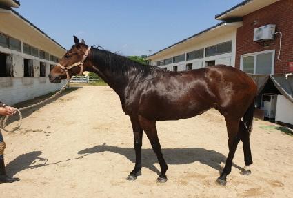 ��Ÿ��ƽ���� ����