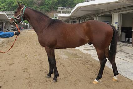 �屺�� ����