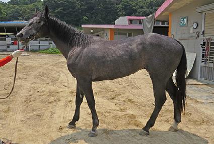 ��ö�δ� ����