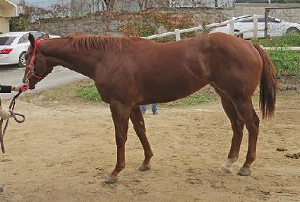 ��ι��� ����