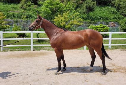 �۴϶����� ����