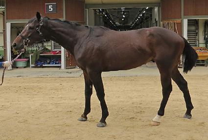 ���伺�� ����