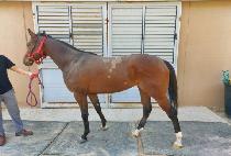 ����� (JEONGDEUN-RO) ����