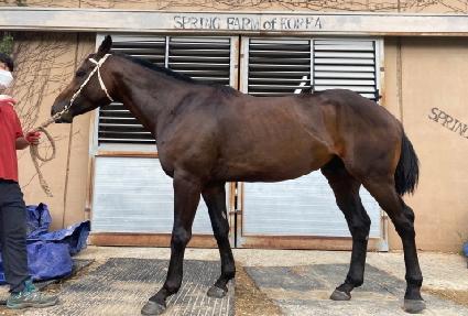 �����巡�� ����