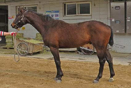 �޷����� ����