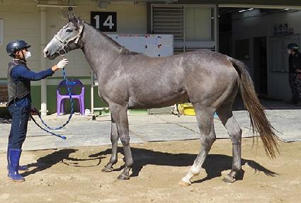 ���̺�Ʈ ����