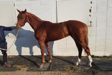 ���ڶ��� ����