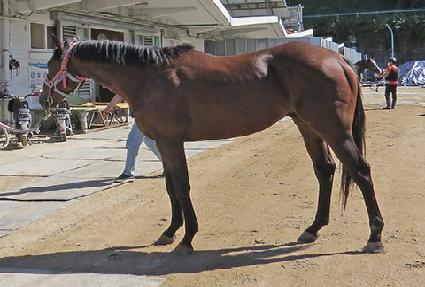 ���� ����