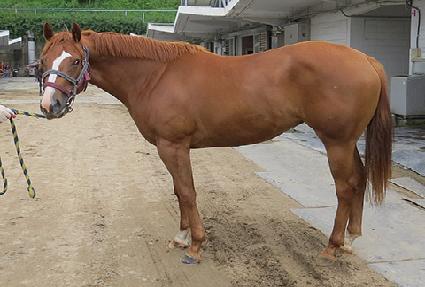 �����Ǻ� ����