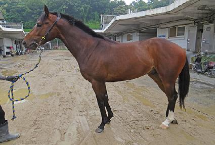 ����� ����