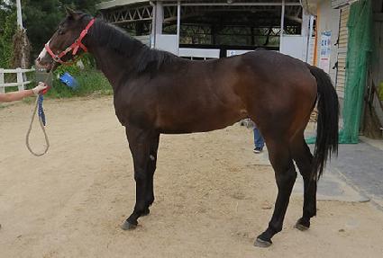 �������ݸ� ����