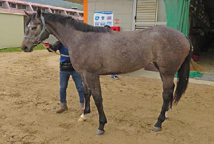 Ȳ��õ�� ����