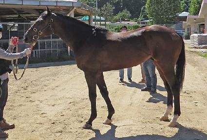 ���깫�� ����