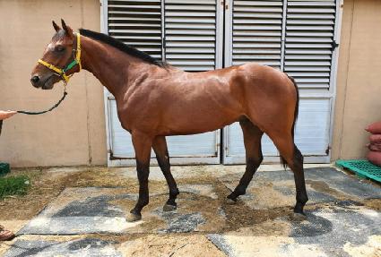 �ٽ��� ����