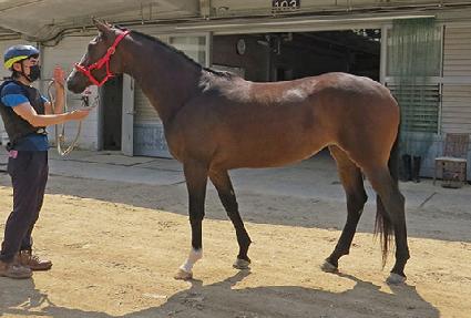 �������� ����