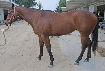 �޴ϰ�� ����