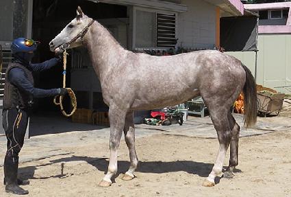 ���ø�Ʈ���� ����