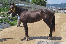 ���Ŭ���� (GOLDEN CLASS) ����