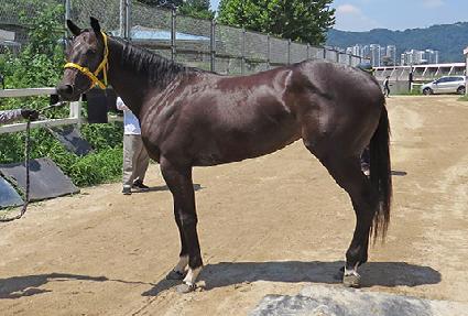 ���Ŭ���� ����