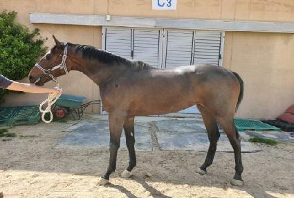 �ε����̽� ����