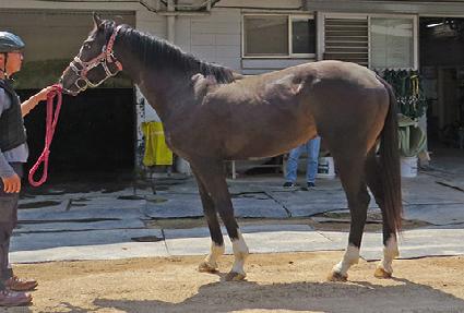 �������� ����