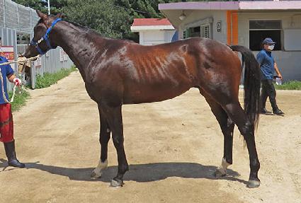 ��ī�̼� ����