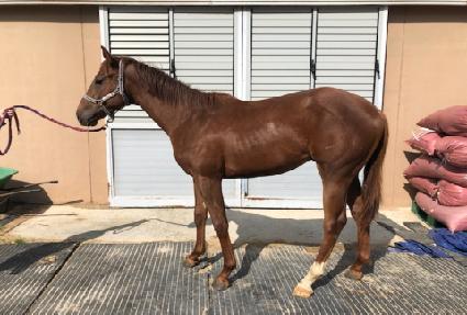 �ְ����� ����